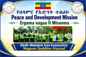 Peace and development mission and shagar city